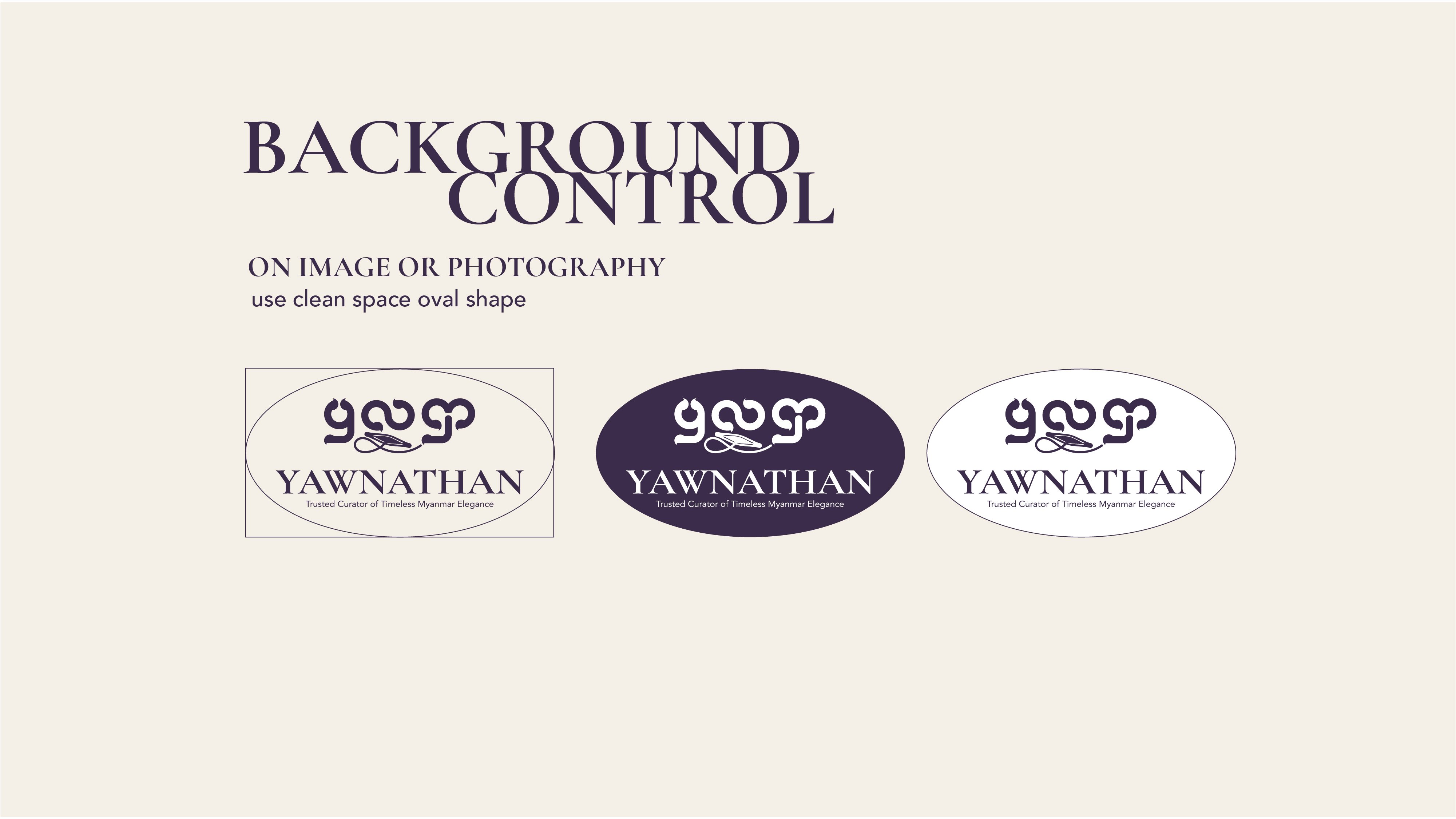 Brand guideline on going-53